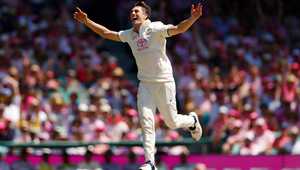 伟浚的重视 伟浚的重视