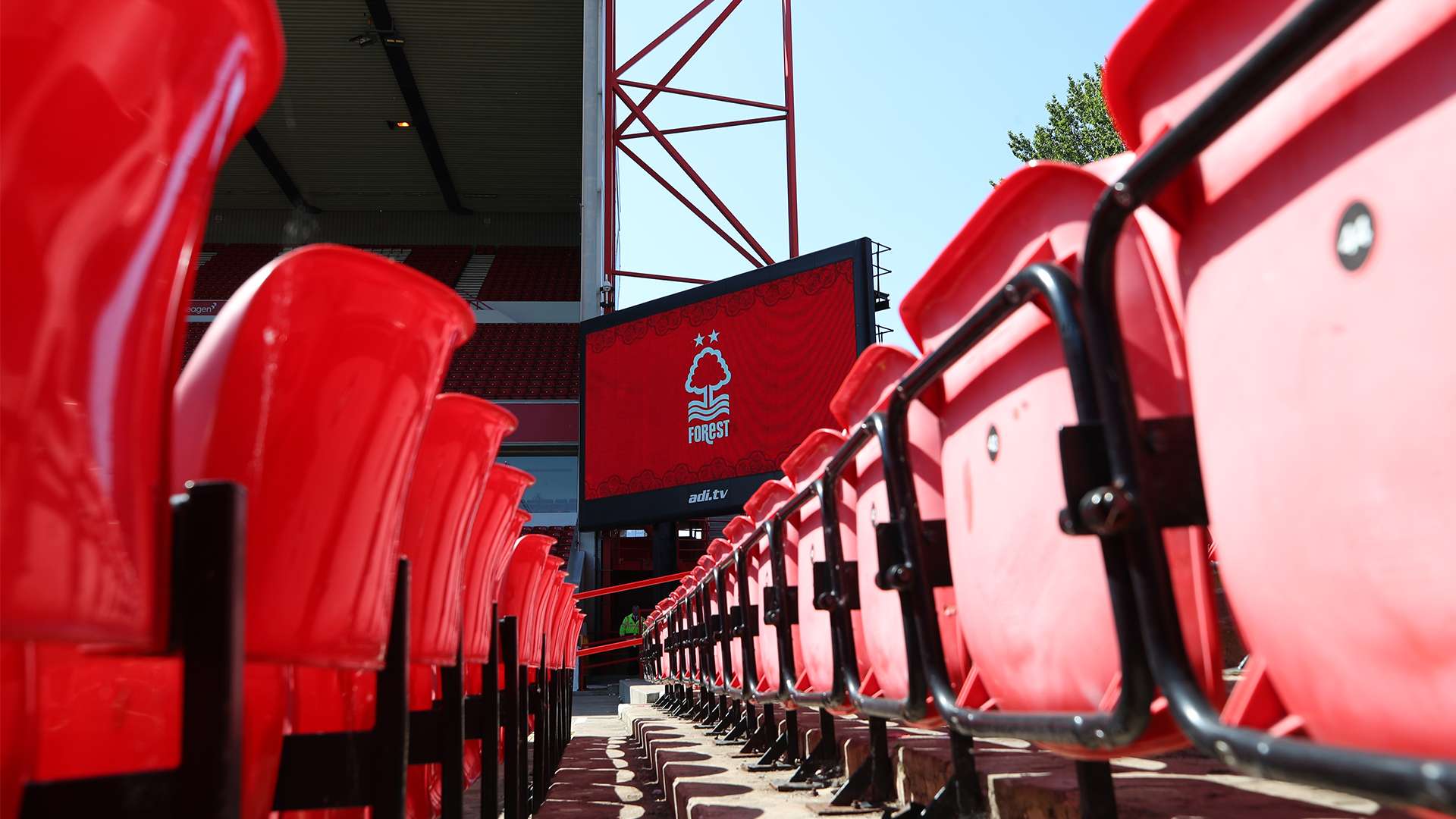 意志和团队 意志和团队